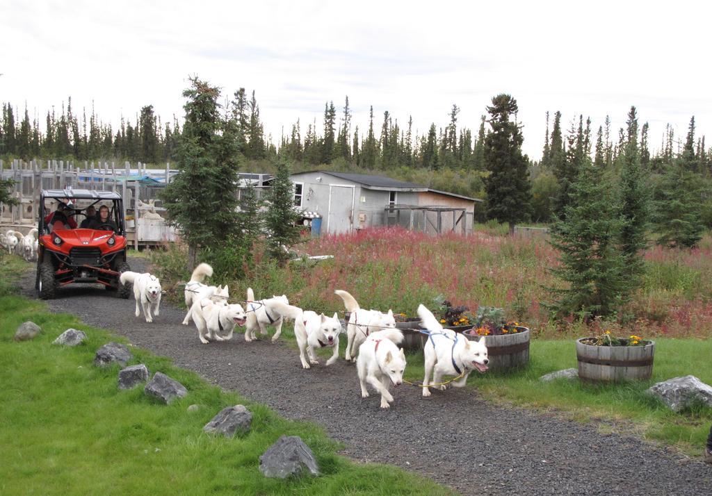 Arctic Chalet Resort Inuvik Exterior photo